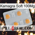 Kamagra Soft 100Mg 24